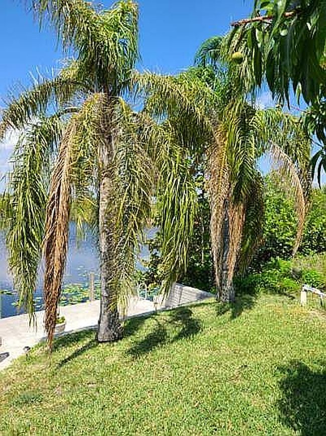 Photo of 4176 Ne 9th Pl, Cape Coral, FL