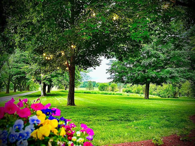 Additional photo 2 of property located at 7356 Kishwaukee Rd