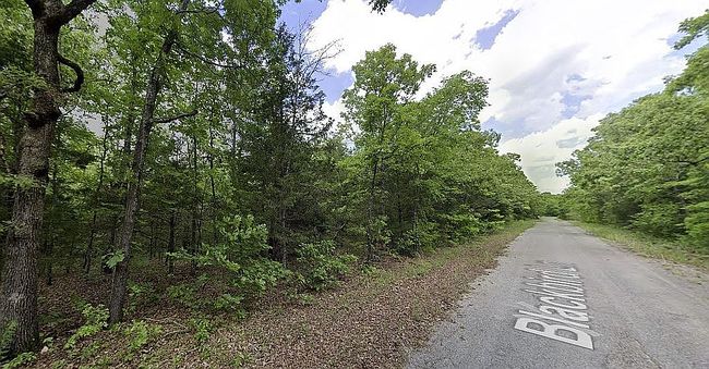 Image of 1408 Blackbird Ln