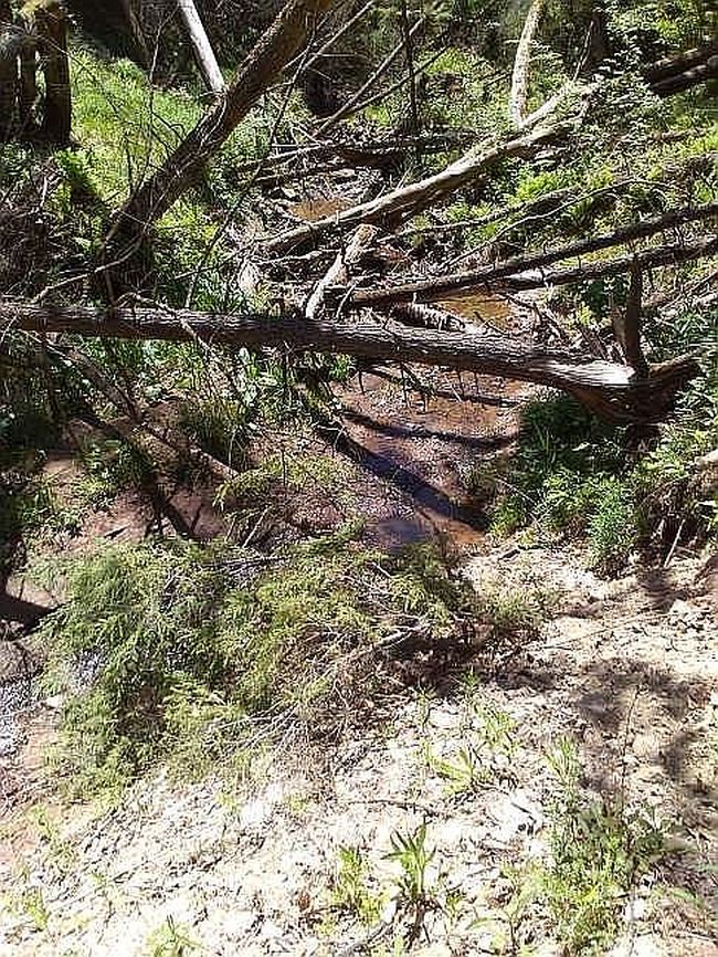 Image of 3272 Pelton Hill Rd