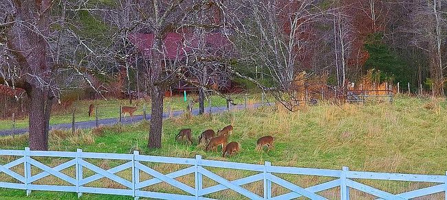 Photo of 144 Old Battle Rd, Blairsville, GA