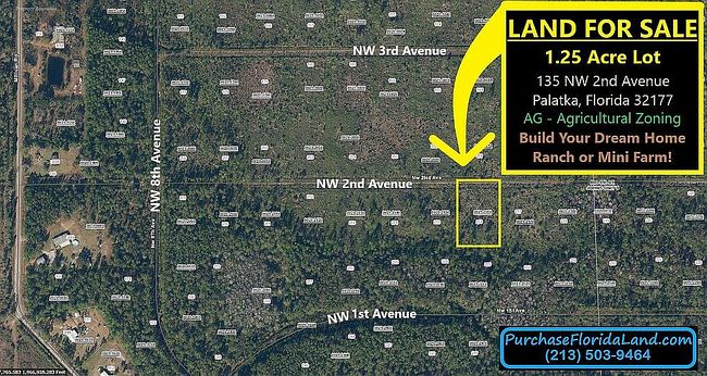 135 Nw 2nd Ave, Palatka, FL