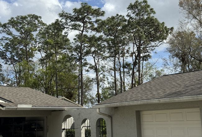 Image of 1818 Lago Ct