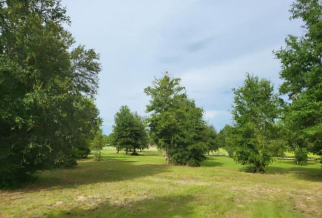 Preview of property located at 605 Southwest Ford Lane