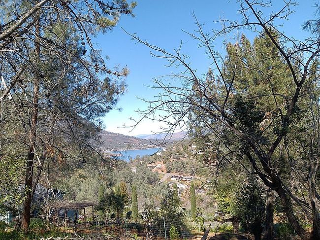 Image of 9960 Point Lakeview Rd