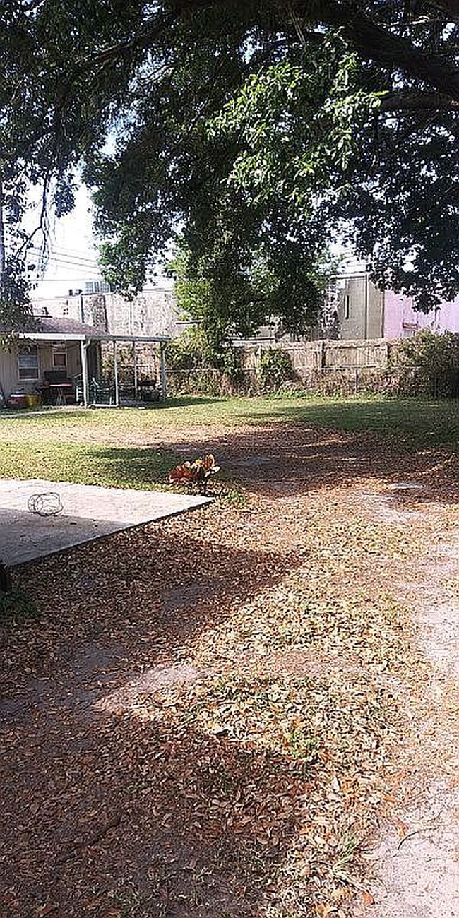 Photo of 1316 Pleasant Pl, Lakeland, FL