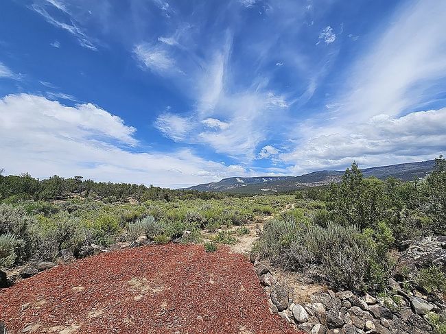 Image of 4110 Lands End Rd
