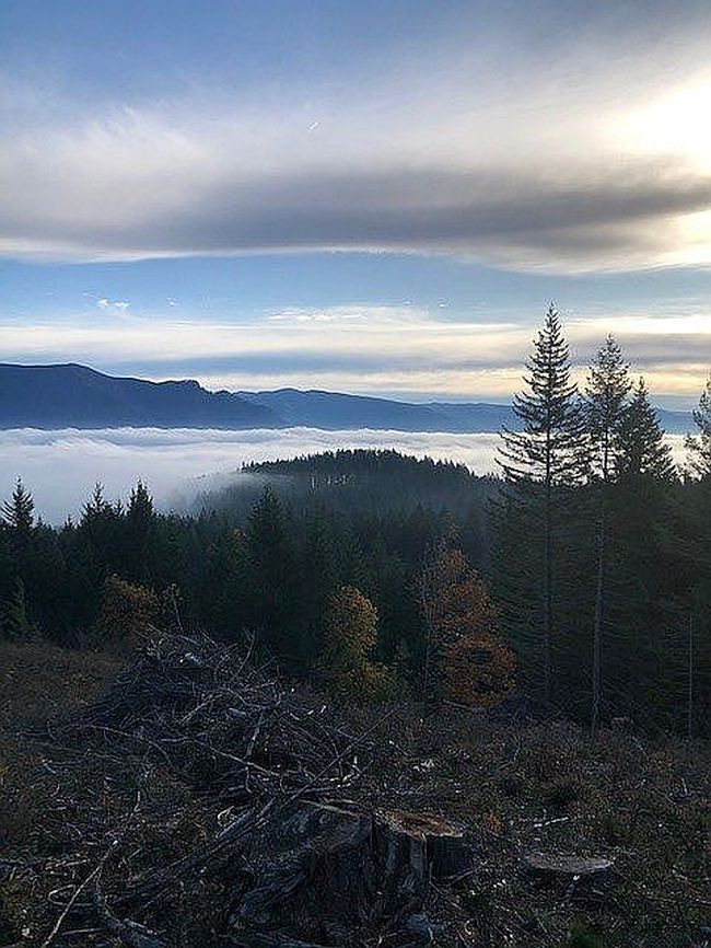 Photo of 3031 Loop Rd, Stevenson, WA