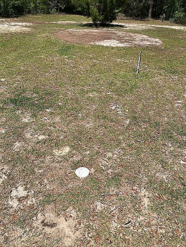 Photo of 234 Sw Salliewood Ct, Fort White, FL