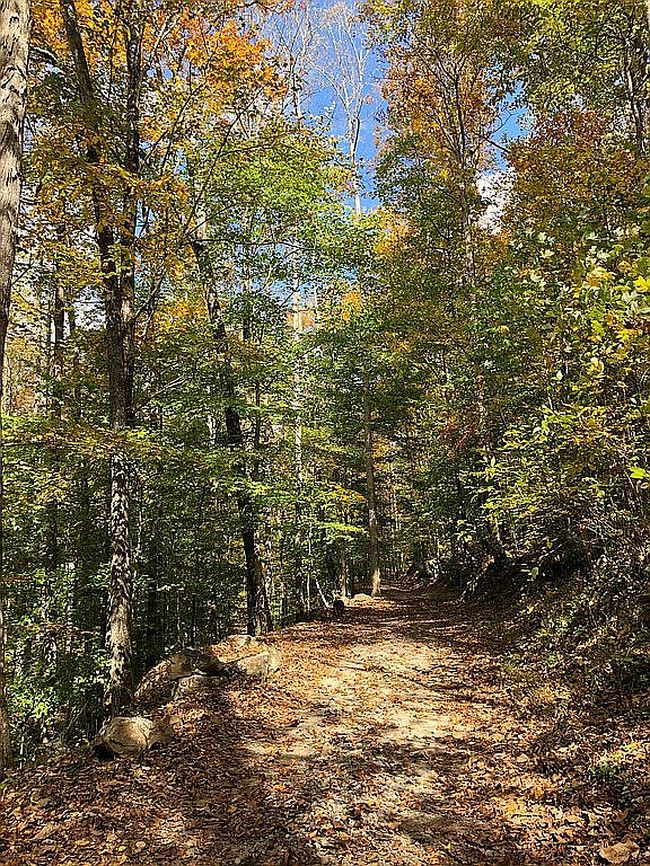 Image of 618 Boyd Rd