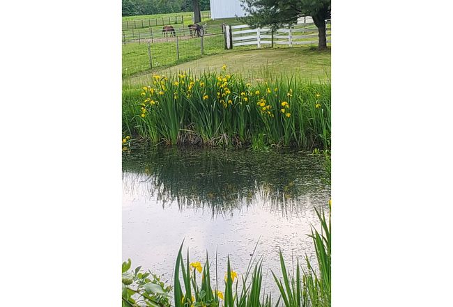 Photo of 667 Township Road 1275