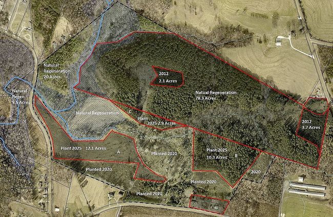 Additional photo of property located at 222 Casar Belwood Rd