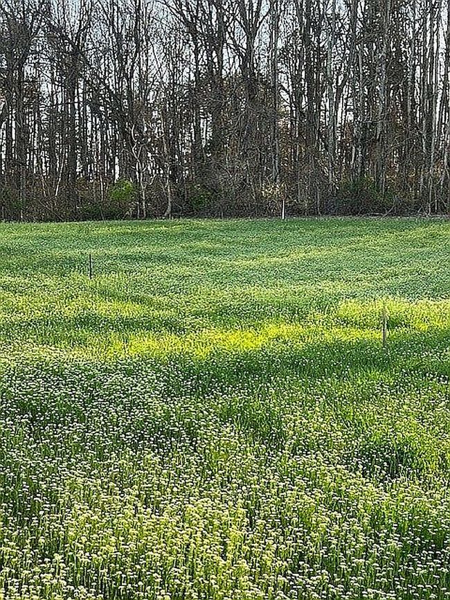 Image of Oak Ridge Rd