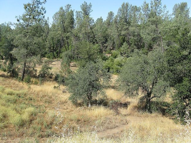 Photo of 4218 Ashwick Ct, Shasta Lake, CA