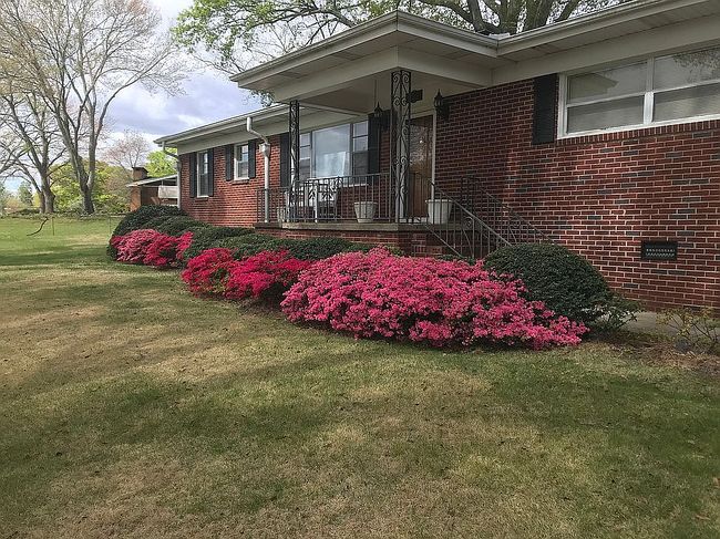 Photo of 205 Viewmont Dr, Greenville, SC