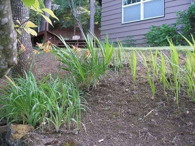 Photo of 2090 W 28th Ave, Eugene, OR