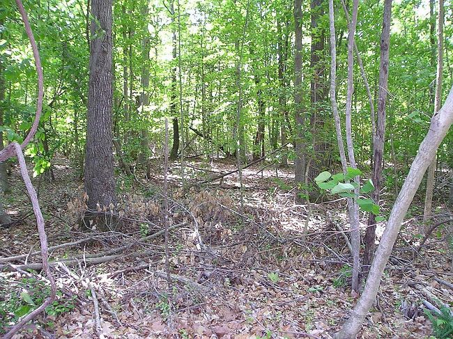 Image of 2560 Fort Huger Dr