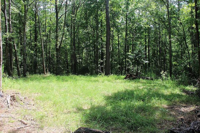 Photo of 0 Chalybeate Rd, Manchester, GA