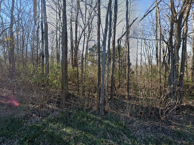 Photo of 15904 Long Rd, Smithville, MO