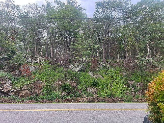 Image of 583 E Shore Rd