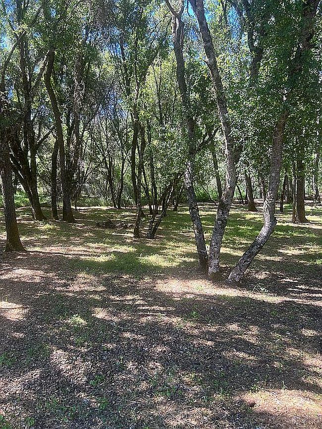 Image of 5723 Inca Way