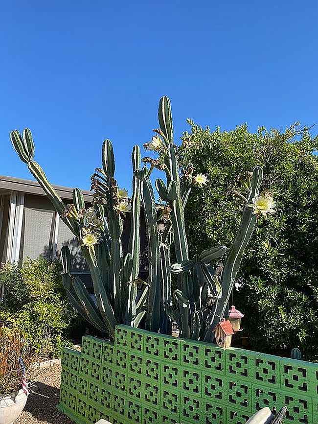 Photo of 601 N Hayden Rd Lot 29, Scottsdale, AZ