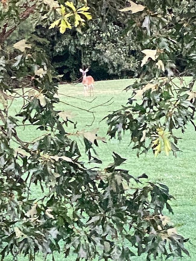 Image of 1872 Cude Rd