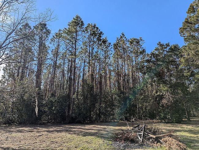Image of 6386 Sw State Road 47