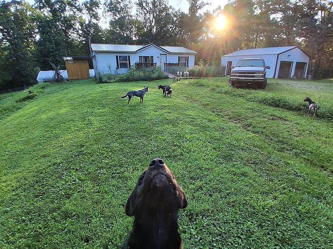 Photo of 9046 S Chapel Hill Rd, Heltonville, IN
