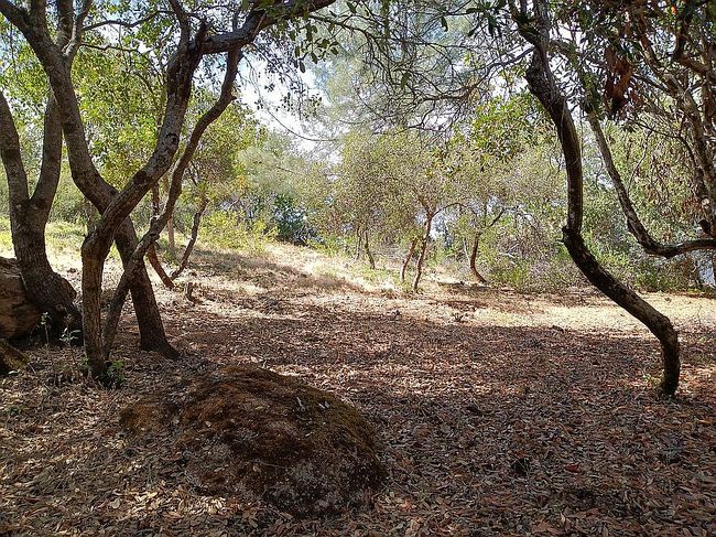 Photo of 4835 Hawaina Way, Kelseyville, CA