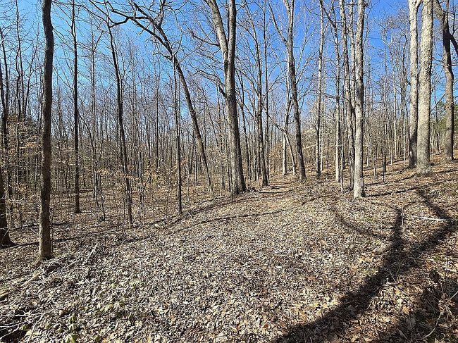 Additional photo 2 of property located at 0 County Road 153