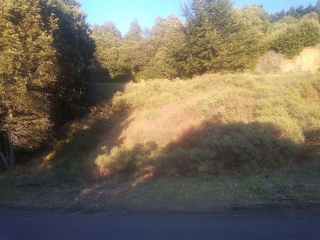 Photo of 28 Oak Dr, Whitethorn, CA