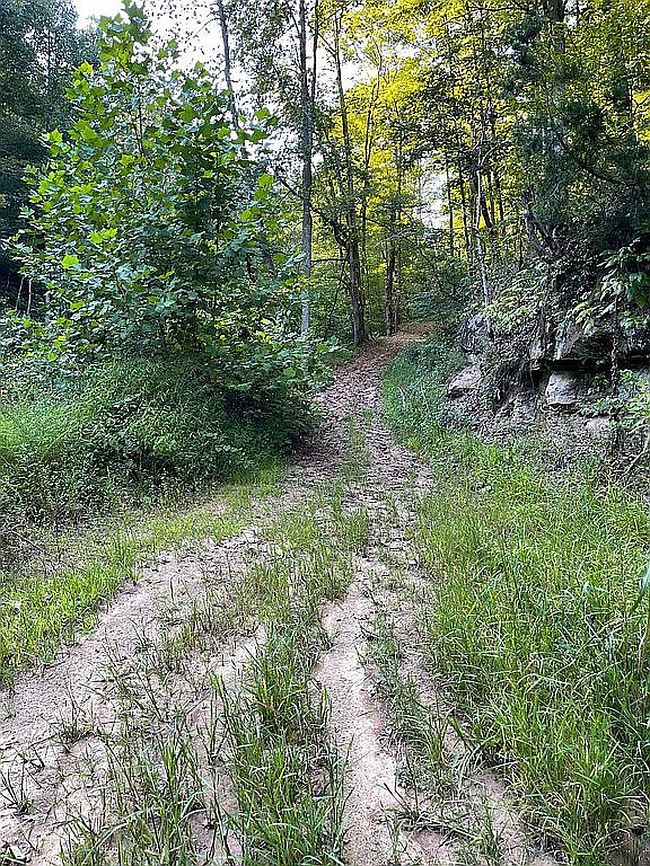Photo of 0 Big Creek Rd, Walton, WV