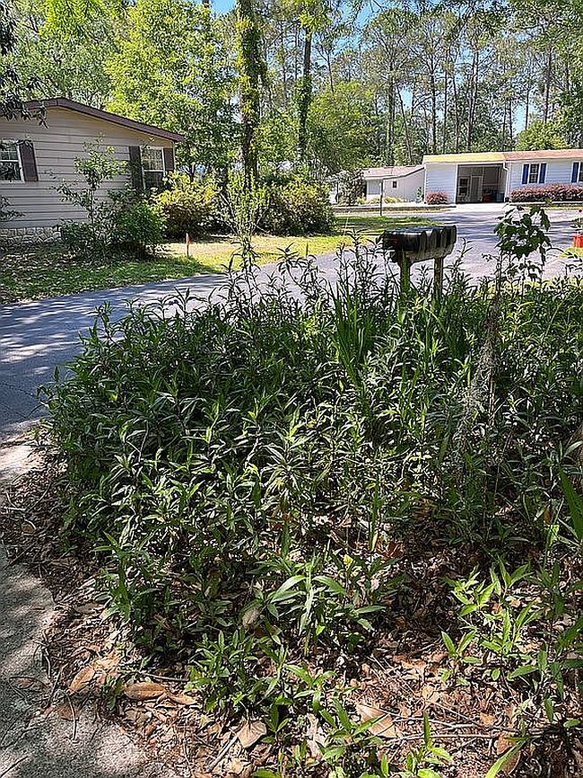 Image of 8572 Nw 39th Cir