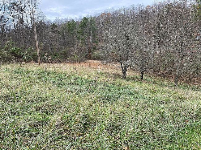 Image of 95 Junes Pl