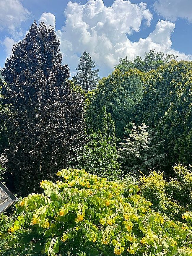 Photo of 610 S Market St, South Williamsport, PA