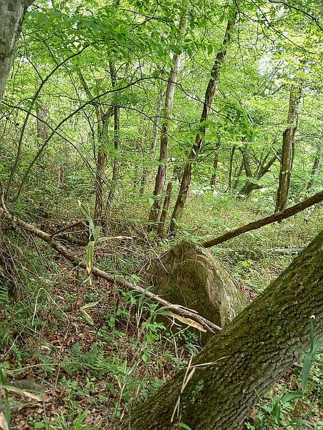 Photo of 417 Riveroverlook Dr, Copperhill, TN