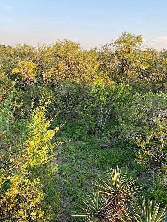 Photo of 1870 W Fm 140 Tract 5025