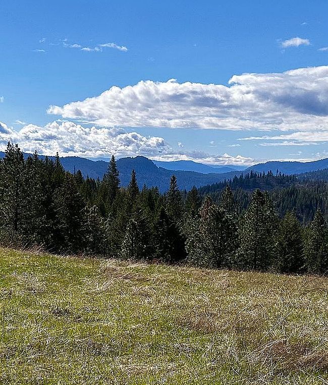Photo of 3310 Fifteen Mile Creek Rd, Kettle Falls, WA