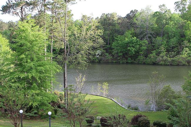 Photo of 99 Broken Arrow Trl, Petal, MS