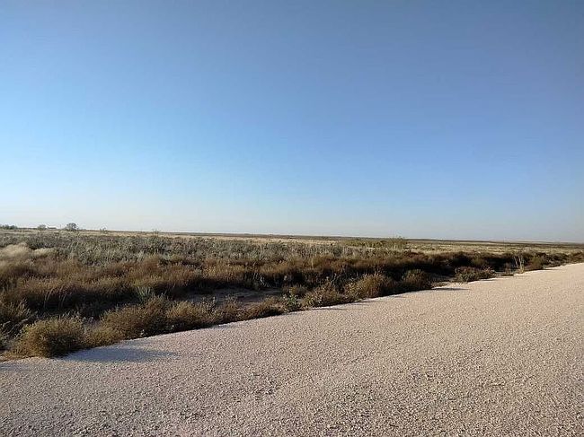 Photo of 0 Us Highway 180 E Tract 6, Seminole, TX