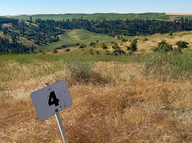 Photo of Lot 4 Red Tail Ridge Rd, Colfax, WA