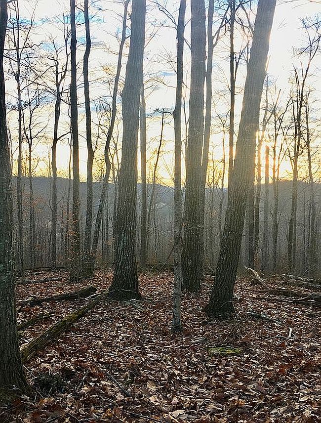 Image of 5435 Rockwell Hollow Rd