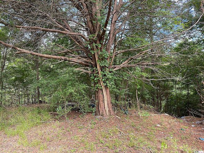 Image of 104 Percy Dr