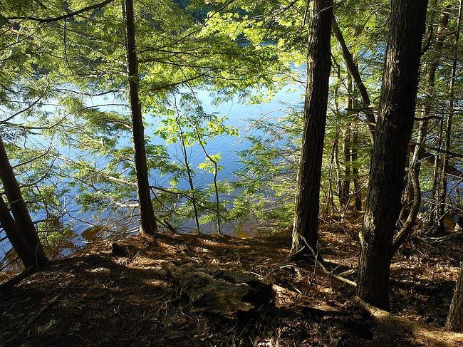 Photo of 0 Union Falls Rd, Buxton, ME