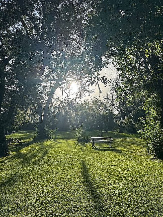 Photo of 2105 County Road 344, Brazoria, TX