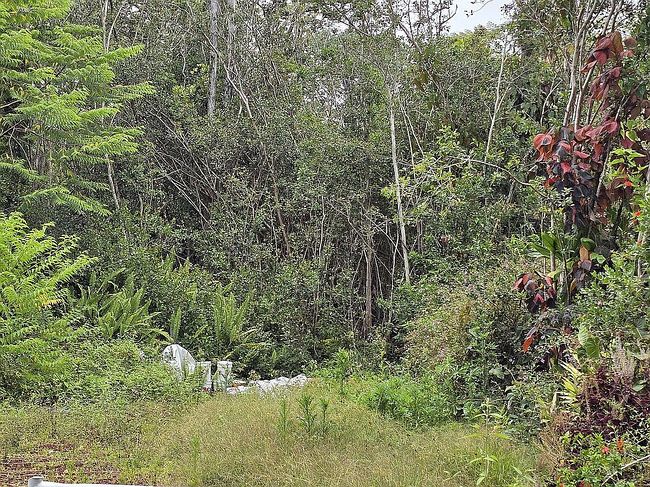 Photo of 12-4290 Hilo St, Pahoa, HI