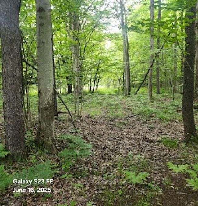 Photo of 13577 Hoffman Rd, Springville, NY