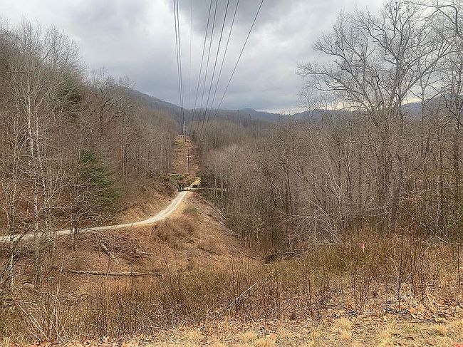 Image of 39 Blue Bird Ln