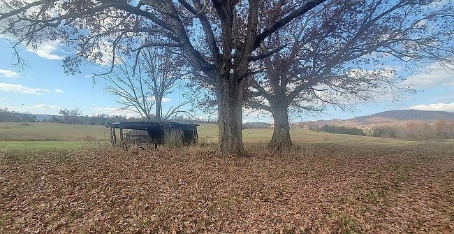 Image of 0 Brake Tree Ln